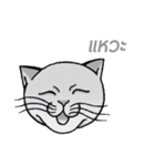 Meow meow is happy（個別スタンプ：24）