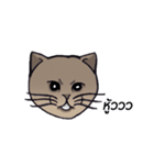 Meow meow is happy（個別スタンプ：25）