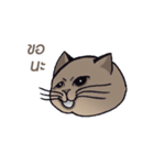 Meow meow is happy（個別スタンプ：29）