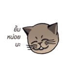 Meow meow is happy（個別スタンプ：30）