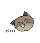 Meow meow is happy（個別スタンプ：31）