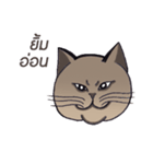Meow meow is happy（個別スタンプ：33）