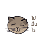 Meow meow is happy（個別スタンプ：34）