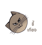 Meow meow is happy（個別スタンプ：35）