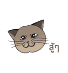 Meow meow is happy（個別スタンプ：38）