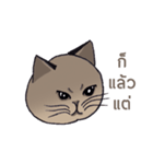 Meow meow is happy（個別スタンプ：39）