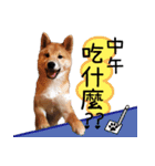 SHIBA Fa-Zj ＆ Mix Han-Ji（個別スタンプ：4）