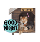SHIBA Fa-Zj ＆ Mix Han-Ji（個別スタンプ：10）
