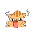 citrus kitty（個別スタンプ：2）