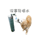 DingDing Day (3)（個別スタンプ：4）