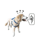 DingDing Day (3)（個別スタンプ：5）