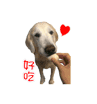 DingDing Day (3)（個別スタンプ：7）