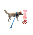 DingDing Day (3)（個別スタンプ：8）