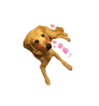 DingDing Day (3)（個別スタンプ：10）