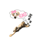 DingDing Day (3)（個別スタンプ：13）