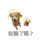 DingDing Day (3)（個別スタンプ：16）
