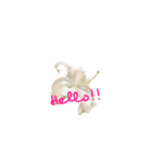 ゆりの花のささやき（個別スタンプ：1）