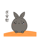 black black rabbit 2（個別スタンプ：1）