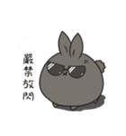 black black rabbit 2（個別スタンプ：13）