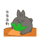 black black rabbit 2（個別スタンプ：28）