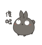 black black rabbit 2（個別スタンプ：36）