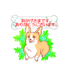 感謝と気遣いの茶色コーギーcorgi3（個別スタンプ：2）