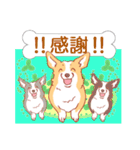 感謝と気遣いの茶色コーギーcorgi3（個別スタンプ：3）