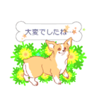 感謝と気遣いの茶色コーギーcorgi3（個別スタンプ：4）