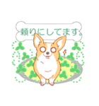 感謝と気遣いの茶色コーギーcorgi3（個別スタンプ：19）