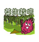 Dragon Fruit-Dragon Boy（個別スタンプ：38）