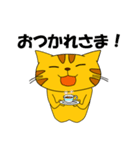 とらねこにゃん太3（個別スタンプ：1）