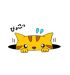 とらねこにゃん太3（個別スタンプ：9）