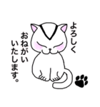 演劇制作体V-NET ぶいねっこ（個別スタンプ：19）