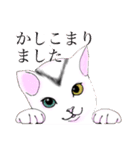 演劇制作体V-NET ぶいねっこ（個別スタンプ：29）
