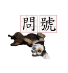Ahbee Little Monster（個別スタンプ：1）
