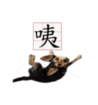 Ahbee Little Monster（個別スタンプ：7）