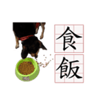 Ahbee Little Monster（個別スタンプ：11）