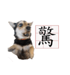 Ahbee Little Monster（個別スタンプ：13）