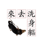 Ahbee Little Monster（個別スタンプ：15）