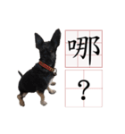 Ahbee Little Monster（個別スタンプ：16）