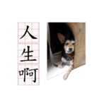 Ahbee Little Monster（個別スタンプ：21）