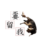 Ahbee Little Monster（個別スタンプ：22）