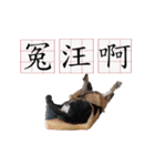 Ahbee Little Monster（個別スタンプ：23）