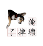 Ahbee Little Monster（個別スタンプ：24）