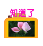 Color taro flower language（個別スタンプ：1）