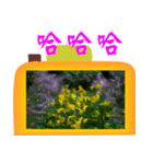 Color taro flower language（個別スタンプ：3）