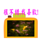 Color taro flower language（個別スタンプ：5）