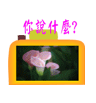 Color taro flower language（個別スタンプ：6）