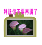 Color taro flower language（個別スタンプ：8）