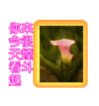 Color taro flower language（個別スタンプ：12）
